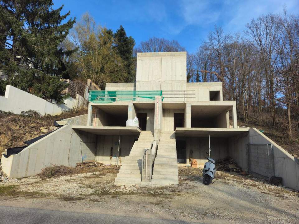 ROHBAU - MODERNES DOPPELHAUS