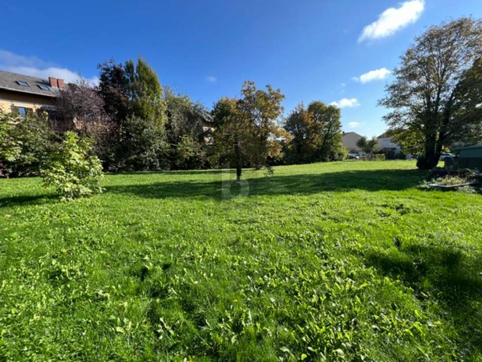 EXKLUSIVE MÖGLICHKEIT AM MITTERBERG - NATUR UND STADTNÄHE VEREINT