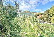 Charmante Pension in Dürnstein – eine seltene Gelegenheit im Herzen der Wachau