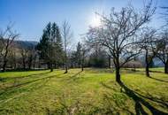 Mitten im Grünland! Einzigartige Panoramalage im Laabental - Hobby-Tierhaltung!