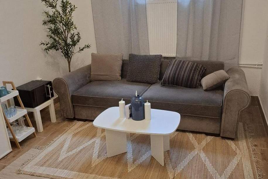 WELS - Zentrum: Vermiete schöne Wohnung. - Tageweise oder Wöchentlich, Wohnung-miete, 10,00,€, 4600 Wels(Stadt)
