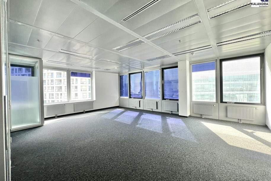 360 TOUR // BÜROFLÄCHE im ARES TOWER, Gewerbeobjekt-miete, 14.540,23,€, 1220 Wien 22., Donaustadt