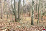 Idyllisches Ferienhaus in Stein: 90m² mit Terrasse und Pool im Grünen!