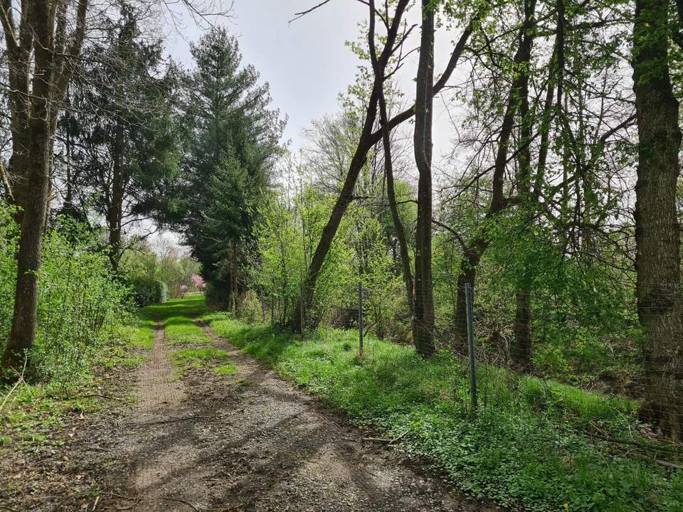 Älteres Fischerhaus samt drei Teichen in sonniger und sehr ruhiger Alleinlage an einer Sackgasse.