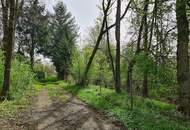 Älteres Fischerhaus samt drei Teichen in sonniger und sehr ruhiger Alleinlage an einer Sackgasse.