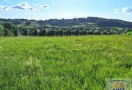 Sonniger Baugrund bei St. Ruprecht an der Raab -- zwischen Weiz & Gleisdorf