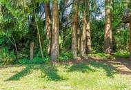 Einzigartige Liegenschaft mit Kachelofen, Wintergarten und parkähnlichen Grundstück in Toplage