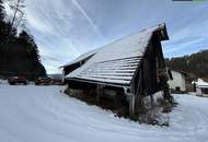 SANIERUNG 2025: Geräumiges Einfamilienhaus mit angeschlossener Kleinlandwirtschaft (Neben- und Stallgebäude) mit ca. 2.700 m² Grund