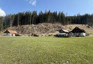 *** Charmantes teilsaniertes Landanwesen mit 10.978 m² Grund – Ruhe, Natur und vielseitige Nutzungsmöglichkeiten nur wenige Minuten zum grünen See ***