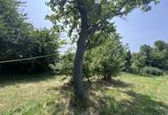 Grundstück mit Altbestand