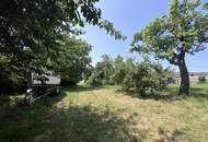 Grundstück mit Altbestand