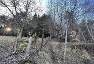(RESERVIERT) Gutes Wohn- bzw. Ferienhaus zur Miete in wunderschöner Ruhelage mit 2 Wohneinheiten. - WOHNTRAUM