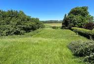 "Baugrundstück in der Gemeinde Würmla mit ca. 749 m² in Saladorf"