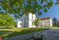 SCHWECHAT | DAS BESTE HAUS AM HAUPTPLATZ | 50m² TERRASSENTRAUM | DIREKT BEIM SCHLOSSPARK