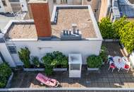 "Dachterrasse Krugerstraße"