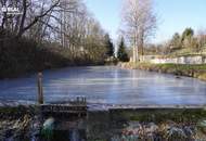 Geräumiges Wohnhaus mit großem Garten und angrenzendem Fischteich