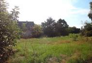 Großes Gewerbegrundstück mit Altbestand !