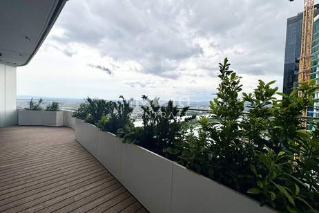 Stephansdom, Donau, Kahlenberg im Blick: Geräumiges Apartment mit Annehmlichkeiten (Gym, Pool, Spa, Lounges, Doorman), Wohnung-miete, 1.353,99,€, 1220 Wien 22., Donaustadt