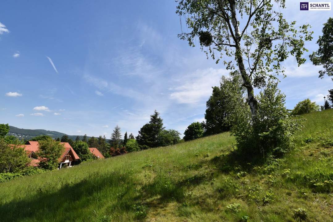 Natur, Ruhe, Ausblick: Traumgrundstück in begehrter Wohnlage von Graz-St. Veit