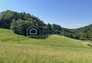 Das Paradies ist hier.....