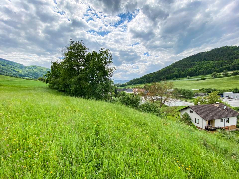 Baugrund Nähe Spitz an der Donau