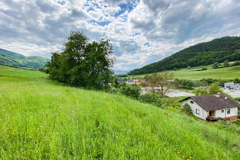 Baugrund Nähe Spitz an der Donau, Grund und Boden-kauf, 59.000,€, 3622 Krems(Land)