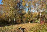 Attraktives Baugrundstück ohne Bauzwang in Brunnenthal