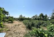 Familienparadies mit Selbstversorger-Garten | 170 m² Wohnfläche auf 1.100 m² Grund