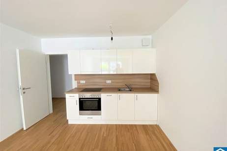 Traumhafte 2-Zimmer-Wohnung mit Loggia direkt beim VIO Plaza/U4, Wohnung-miete, 999,00,€, 1120 Wien 12., Meidling