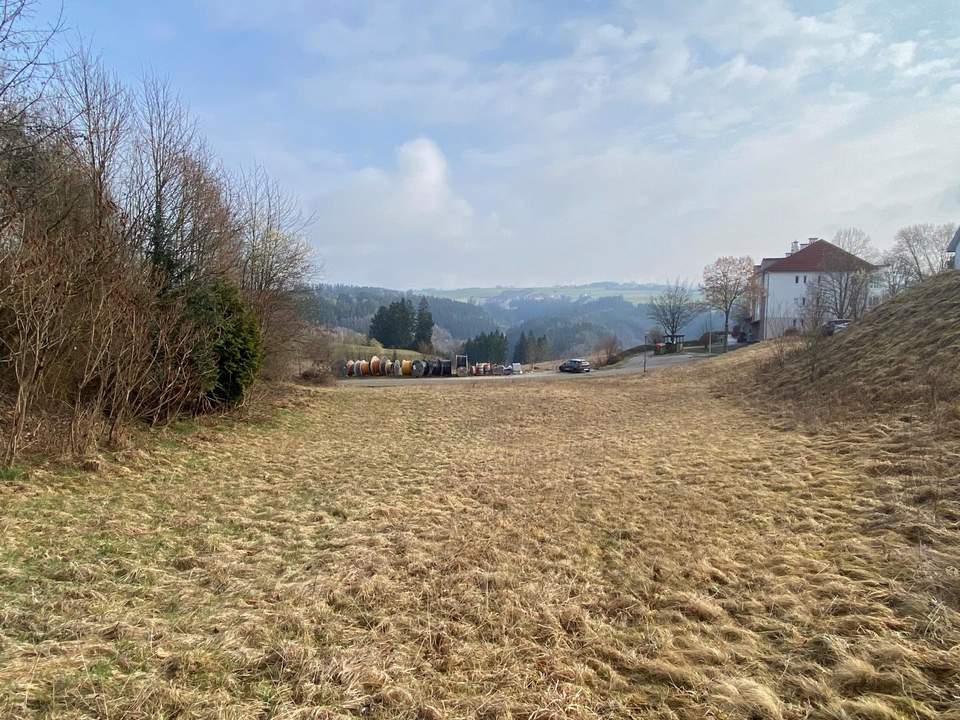 Investoren und Bauträger aufgepasst! Tolles Grundstück mit Aussicht in Neufelden (3 stöckig bebaubar)