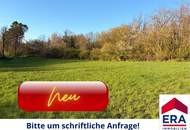 Freizeitgrundstück in Gaweinstal – ruhige Grünlage mit viel Natur und Entwicklungspotenzial