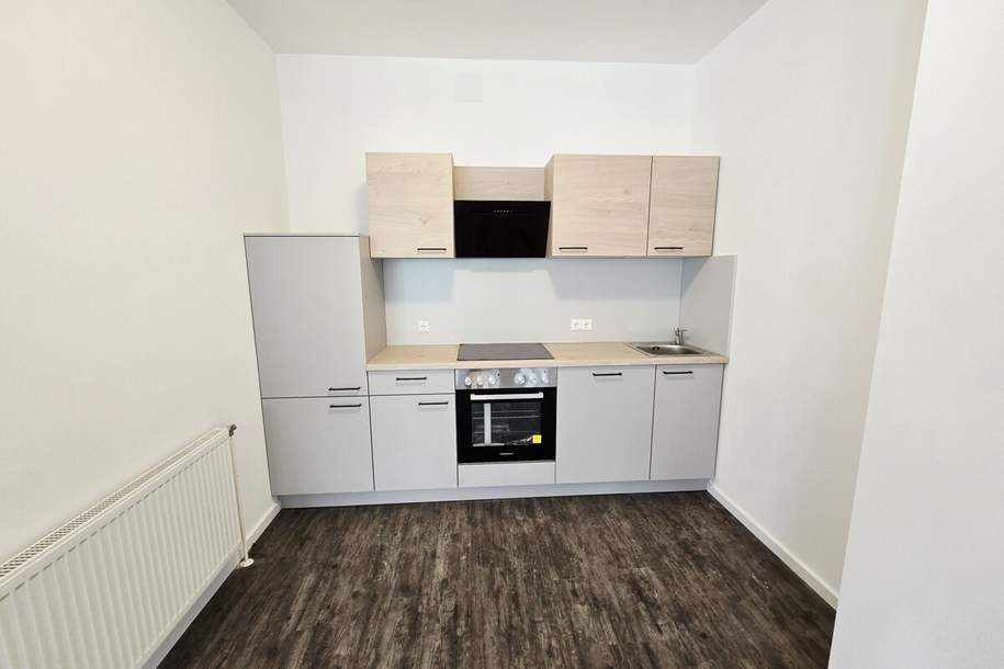 Neu renovierte 2-Zimmer Wohnung mit Küche, Wohnung-miete, 777,00,€, 9702 Villach Land