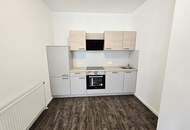 Neu renovierte 2-Zimmer Wohnung mit Küche
