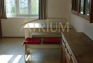 67 m² 2-Zimmer Wohnung mit Wohnküche und direktem Blick auf den Donaukanal , WG-geeignet!