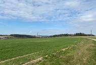 Betriebsbaugrund in gut frequentierter Lage