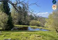 Einzellage: Idyllisches Landhaus mit ca. 9ha Wald und Teich