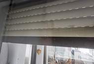 Freifläche und Nähe Neufeldersee - helle, moderne Wohnung mit Balkon und Autostellplatz (möblierte Übernahme möglich)