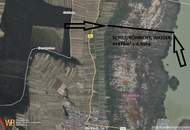 Wiese in Mörbisch, Blick über den ganzen Neusiedler See: 1219m²