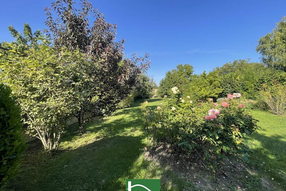 Idyllische FERIEN-OASE mit RIESEN-GARTEN oder BAUGRUNDSTÜCK mit ENTWICKLUNGSPOTENTIAL - dieses SCHMUCKSTÜCK in NIEDERÖSTERREICH sollten Sie sich nicht entgehen lassen. - WOHNTRAUM, Haus-kauf, 499.000,€, 2454 Bruck an der Leitha