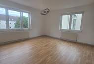 Gemütliche, helle SANIERTE 1-Raum-Wohnung in ruhiger Lage und schöner Grünflächen – Schnell sein Ihr neues Zuhause Am Bindermichl wartet auf Sie!