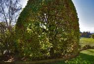 Salzburg/Kirchberg bei Mattighofen: Verträumtes Haus mit Garten und Weitblick