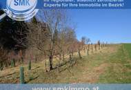 Exklusives Waldviertel-Charlet mit Kitzbühel-Charakter!