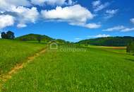 Uriges Landhaus - Traumlage - plus Pool - Grundfläche 1.594 m² - Renovierung und Schönheitsreparaturen sind erforderlich, dennoch sofort beziehbar!