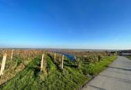 WEINIDYLLE SÜDBURGENLAND - Weinkeller im schönen, sonnigen Eisenberg