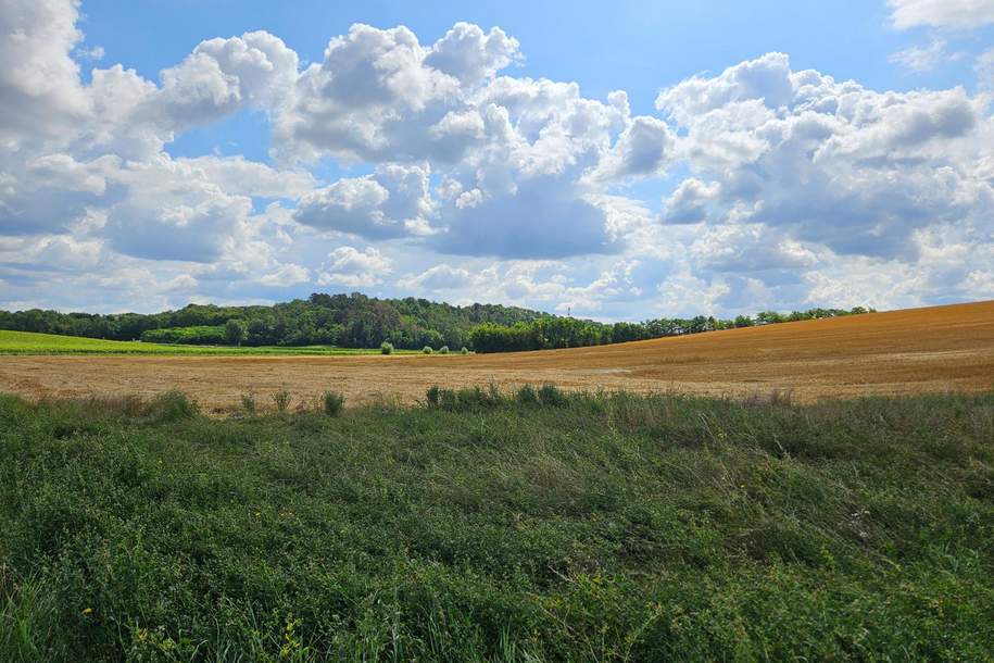 Baugrundstück in Thomasl, Grund und Boden-kauf, 119.000,€, 2115 Korneuburg