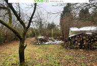 Naturnah &amp; ruhig: Grundstück mit Altbestand in Spattendorf - Gemeinde Alberndorf in der Riedmark