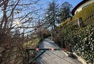 TRAUMBLICK über Wien! Sonnige 3-Zimmer-Terrassenwohnung in Grünruhelage