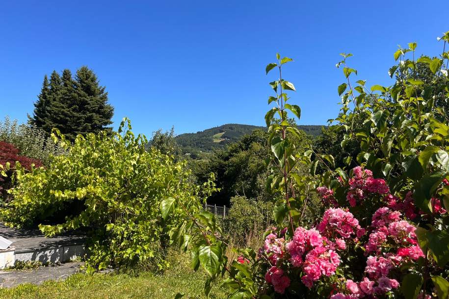 Exklusive Lage mit Dambergpanorama, Haus-kauf, 799.000,€, 4400 Steyr-Land