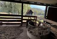 NEUER PREIS! Rarität! Bauernhof in der steirischen Toskana mit ca. 2,7 ha Weide!