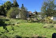 Grünblick in Pettenbach